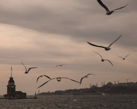 The Historical Context Behind Today's Most Popular Silhouettes