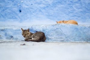 Simple Steps to Finding Reliable Session Musicians Quickly