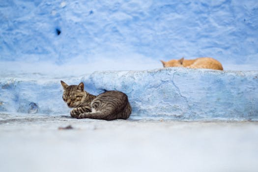 Simple Steps to Finding Reliable Session Musicians Quickly