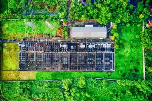 Building a Foundation for Continuous Growth