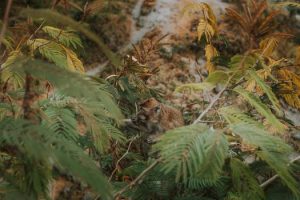 Exploring the World of Careers in Environmental Consulting