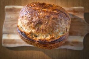 The Essential Guide to Understanding Different Types of Yeast